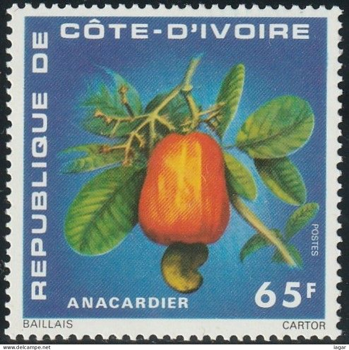THEMATIC FLORA:  FRUIT, CASHEW.   -   COTE D'IVOIRE - Frutta