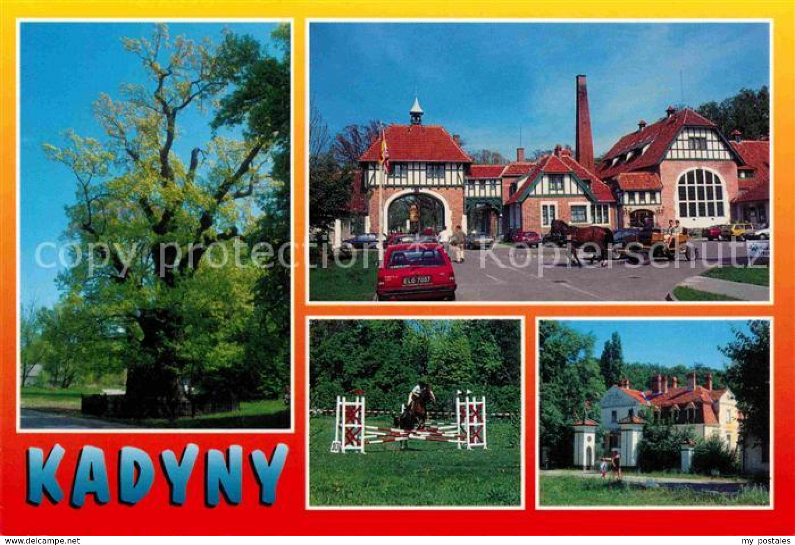 72714555 Kadyny Hotel Kadyny Palace Alter Baum Pferdekutsche Springreiten  - Polonia