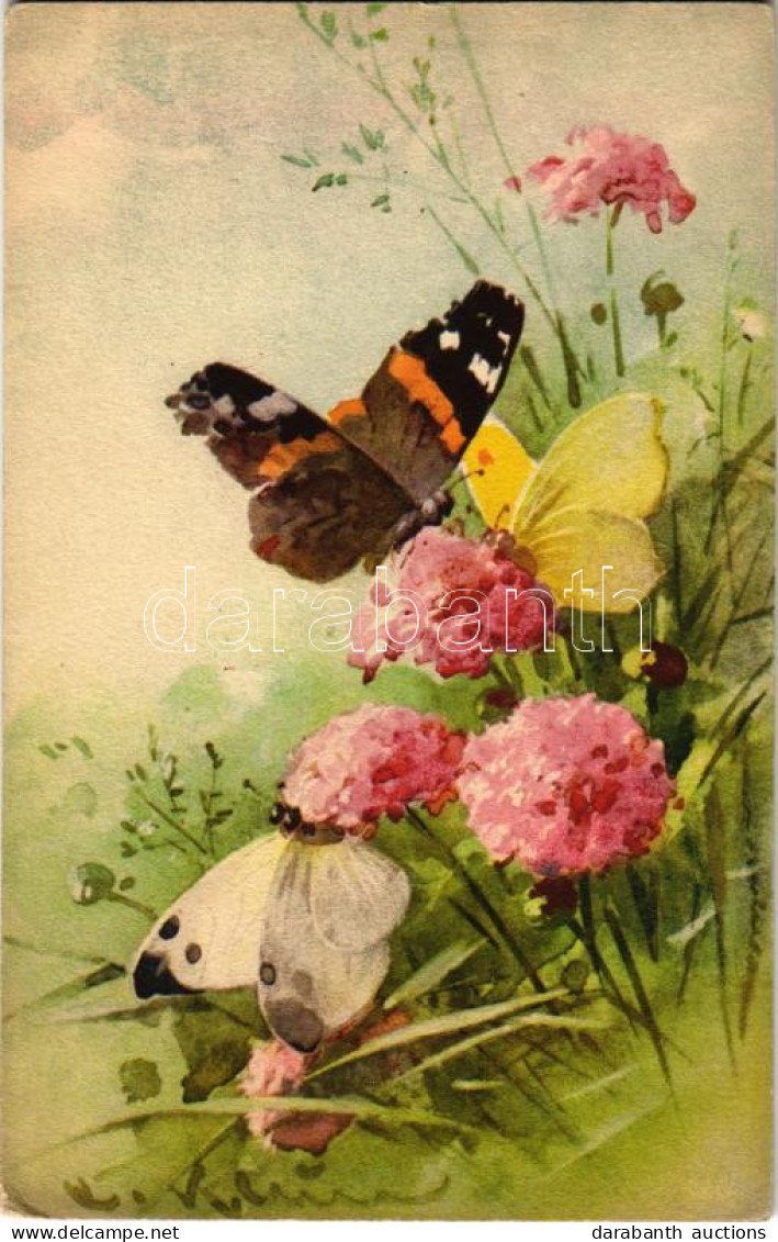 * T2/T3 Butterflies And Flowers S: C. Klein (EK) - Ohne Zuordnung