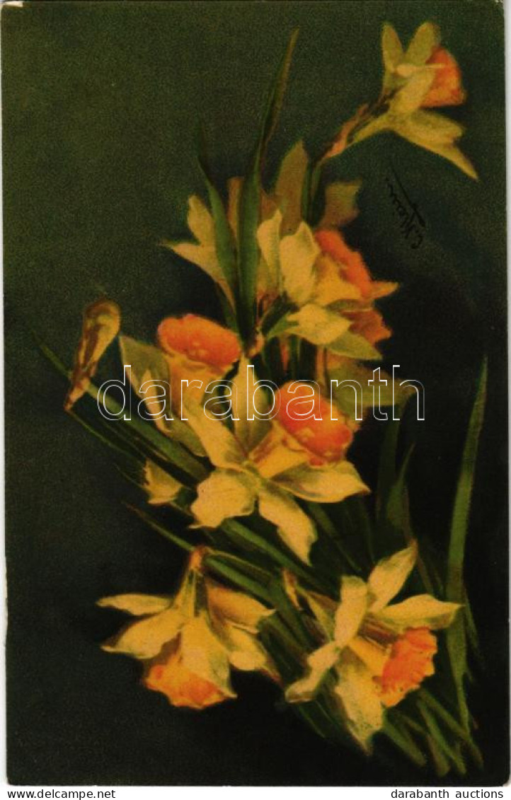 T2/T3 1916 Flowers. W.N. Pastell No. 626. S: C. Klein - Zonder Classificatie