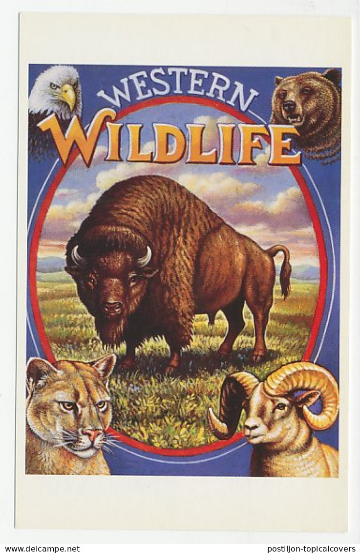 Postal Stationery USA 1993 Buffalo - Bear - Bighorn Sheep - Cougars - Eagle - Western  - Altri & Non Classificati