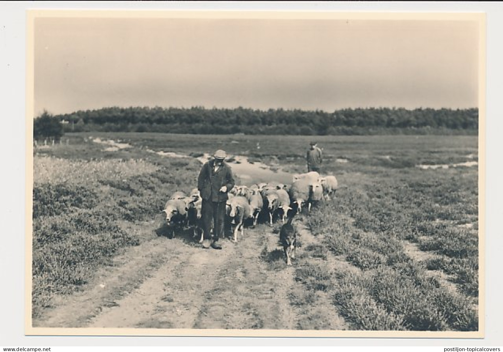 Briefkaart G. 287 B - Vierhouten - Postwaardestukken