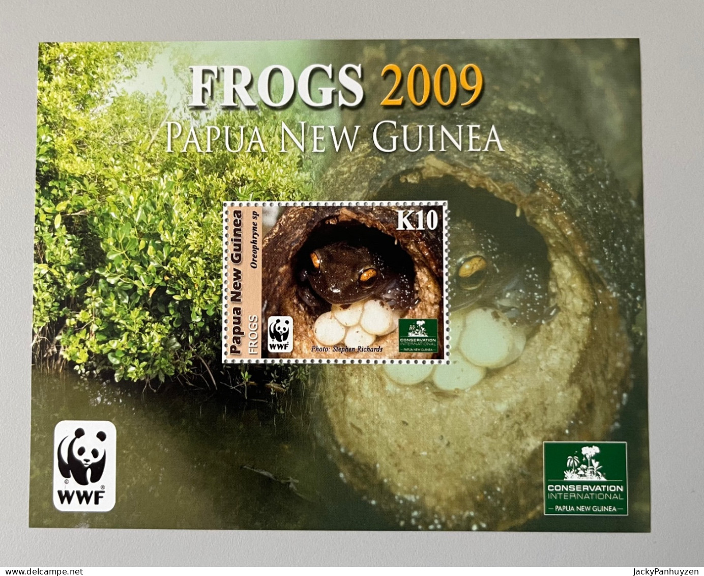 WWF 2009 : PAPUA NEW GUINEA - Frogs -  MNH ** - Ongebruikt