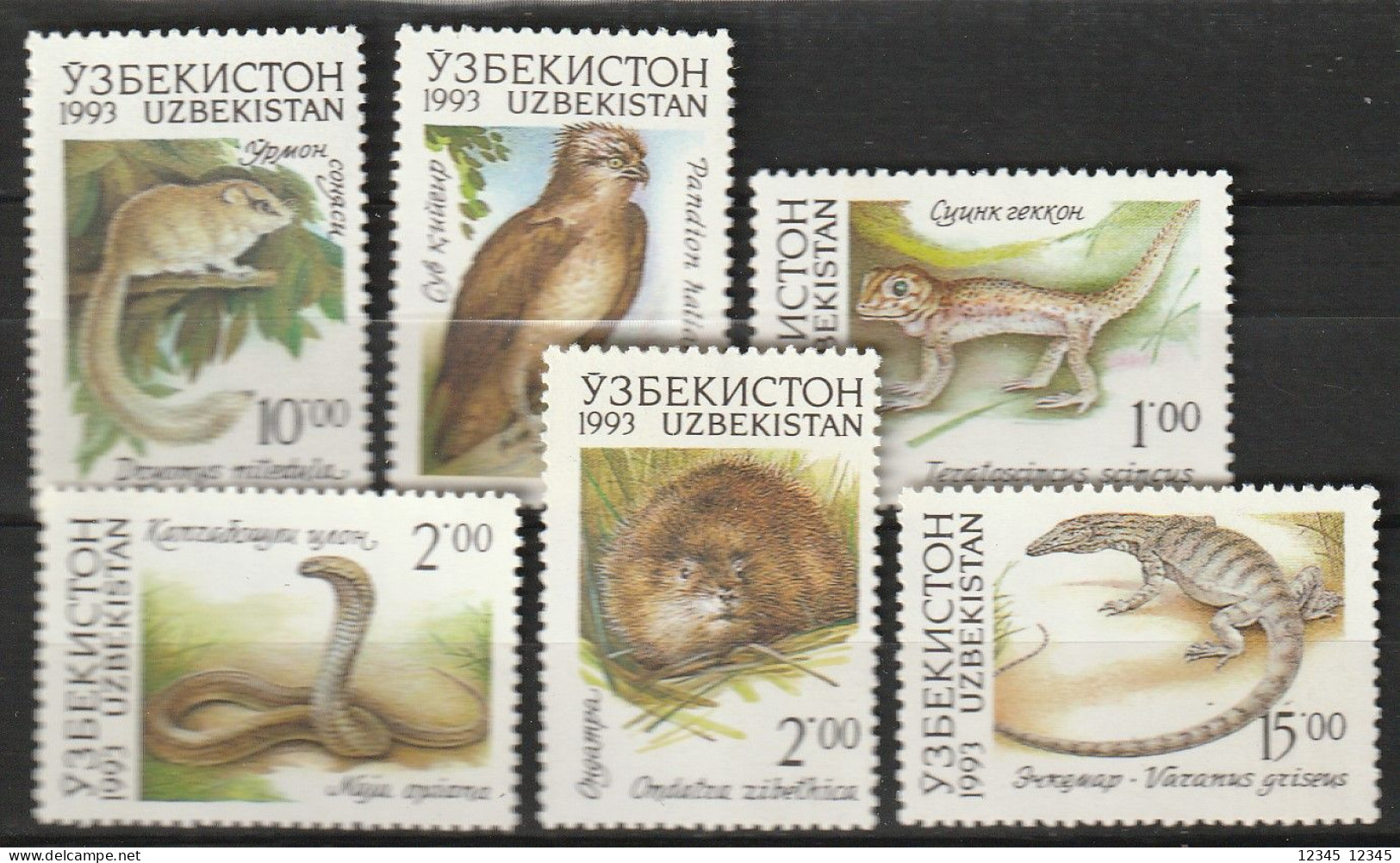Uzbekistan 1999, Postfris MNH, Birds Of Prey - Oezbekistan