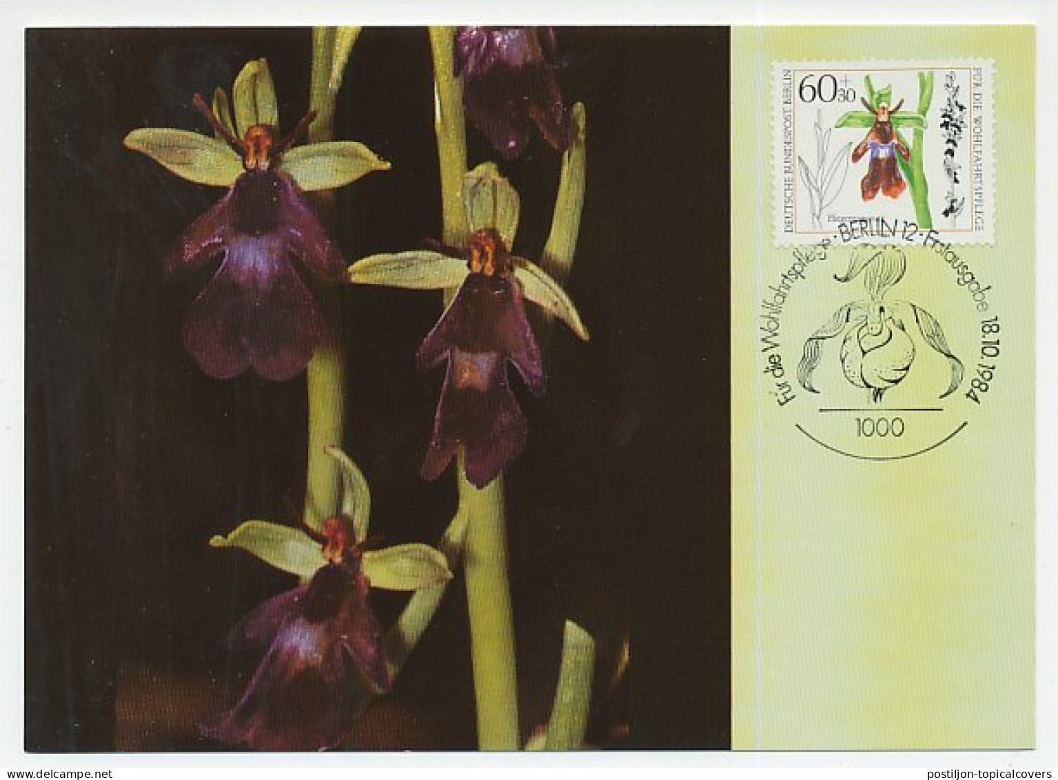 Maximum Card Germany / Berlin 1984 Orchid - Sonstige & Ohne Zuordnung