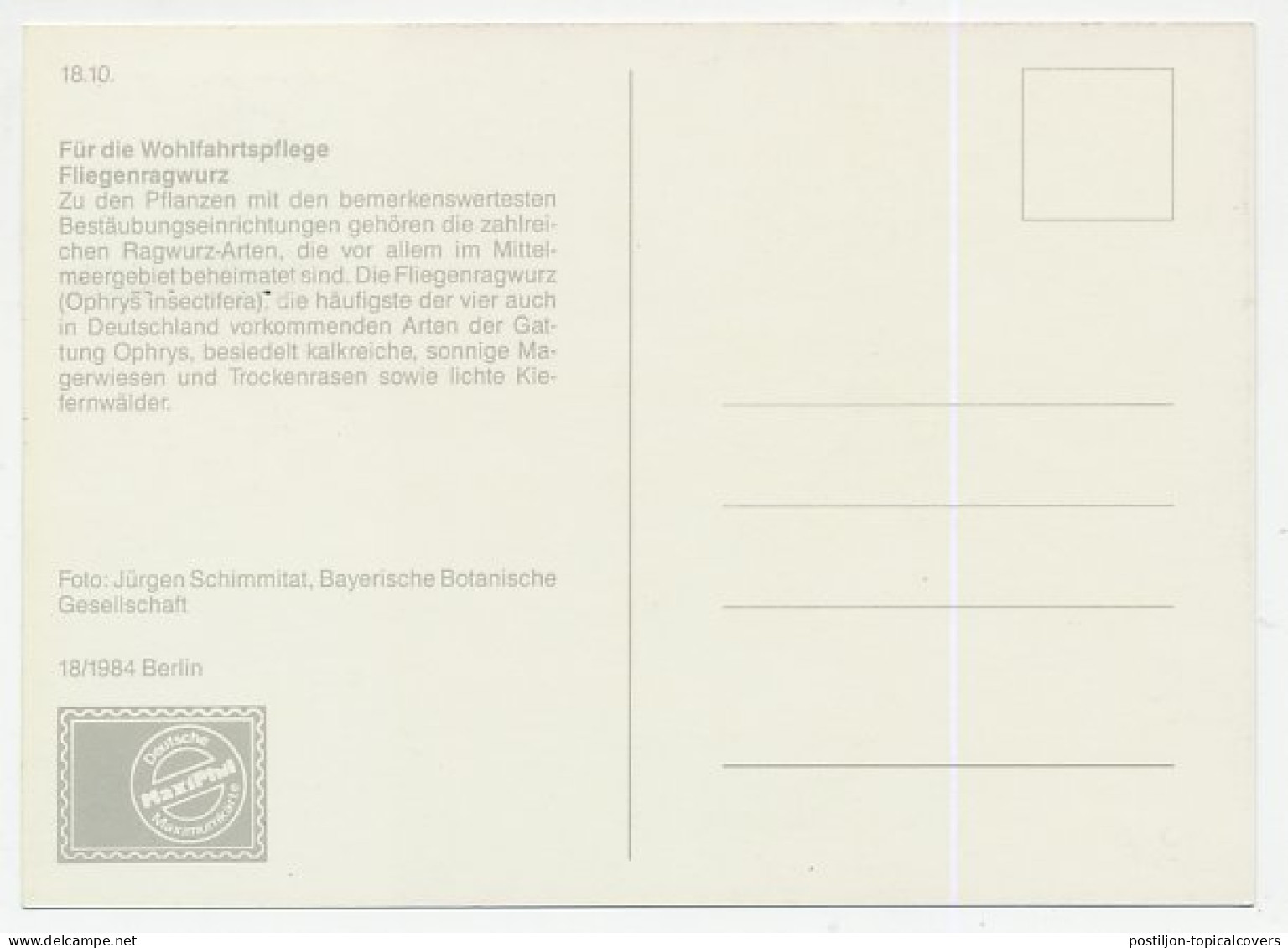 Maximum Card Germany / Berlin 1984 Orchid - Other & Unclassified