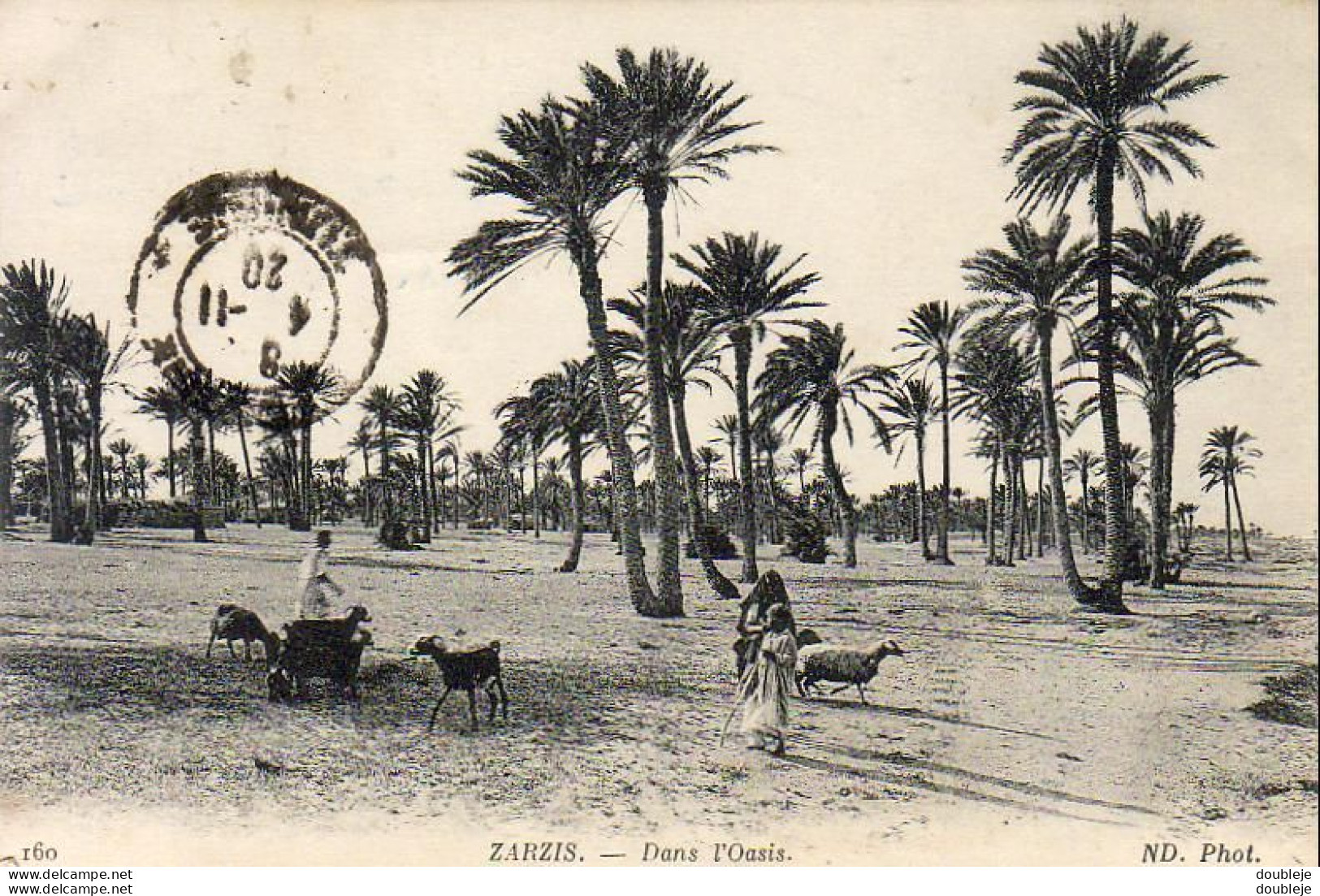 TUNISIE   ZARZIS  Dans L'Oued - Tunisia