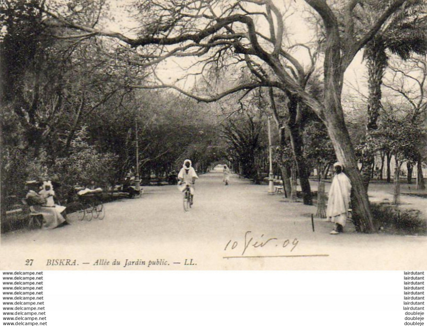 ALGERIE  BISKRA  Allée Du Jardin Public  ..... ( Ref H1823 ) - Biskra