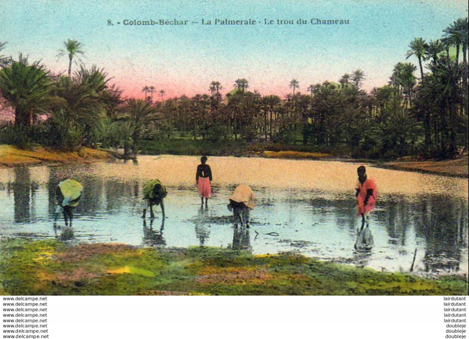 ALGERIE  COLOMB-BECHAR  La Palmeraie  Le Trou Du Chameau   ........  (Ref H2293 ) - Bechar (Colomb Béchar)