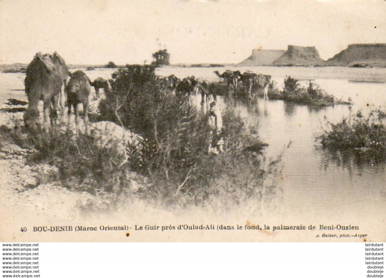 MAROC  BOU-DENIB  Le Guir Près D'Oulad-Ali, La Palmeraie De Beni-Ouzien  ..... - Autres & Non Classés