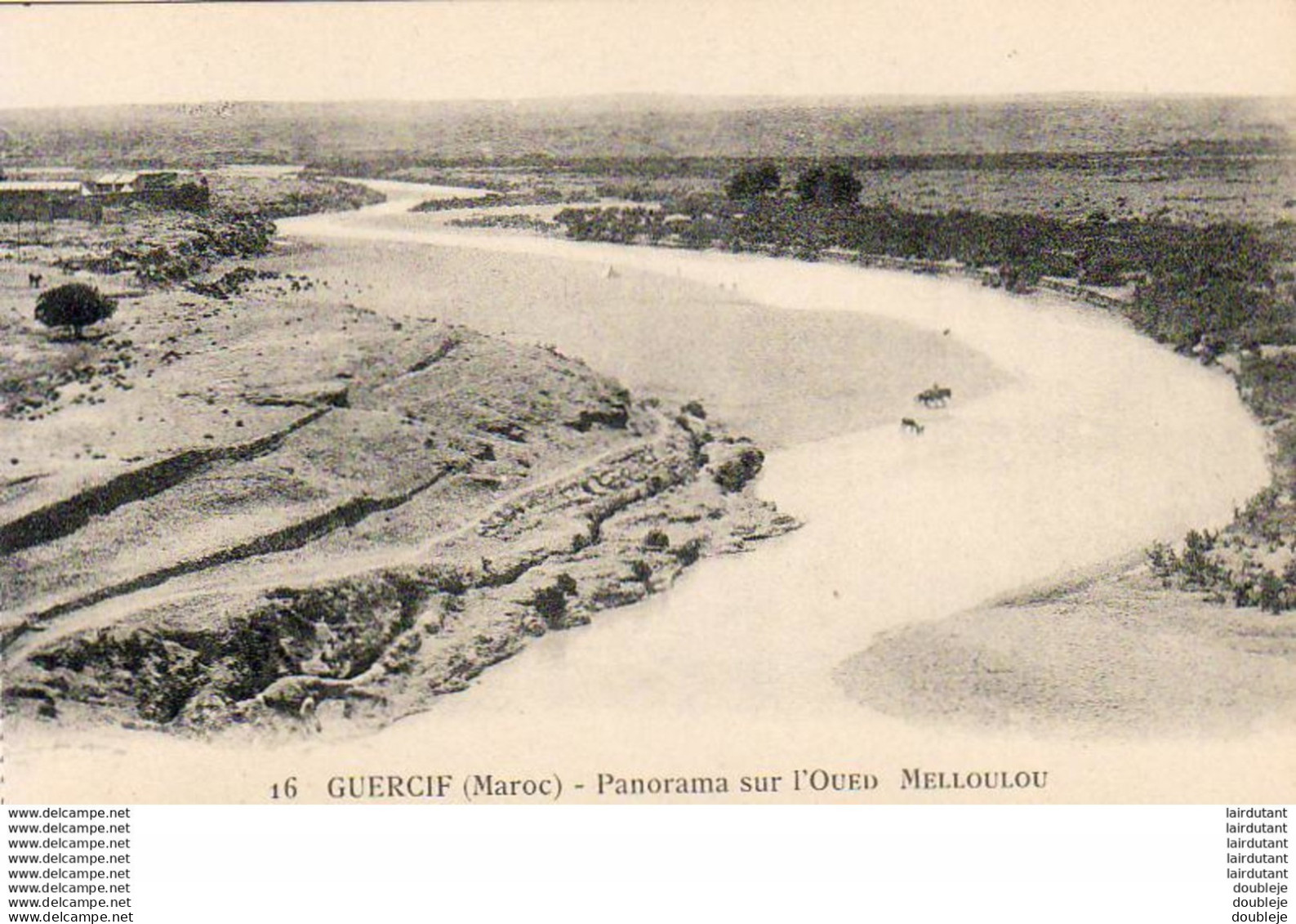 MAROC  GUERCIF  Panorama Sur L'Oued Melloulou  ..... - Andere & Zonder Classificatie