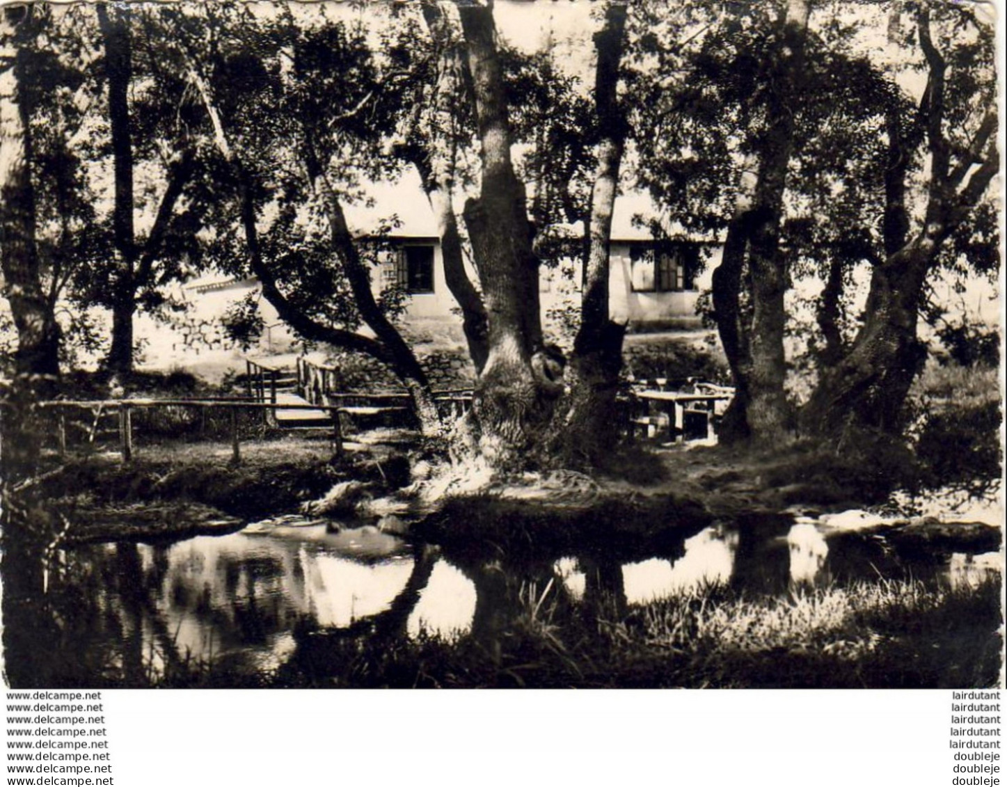 MAROC  IFRANE   L'Auberge De La Jeunesse  ..... - Andere & Zonder Classificatie