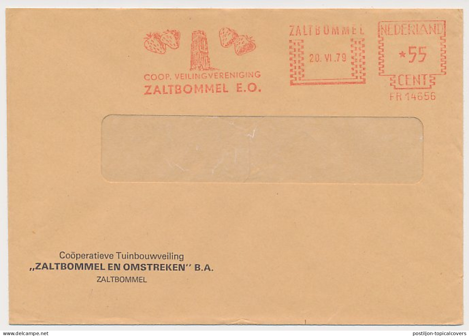 Meter Cover Netherlands 1979 Strawberry - Church Tower - Zaltbommel - Fruit