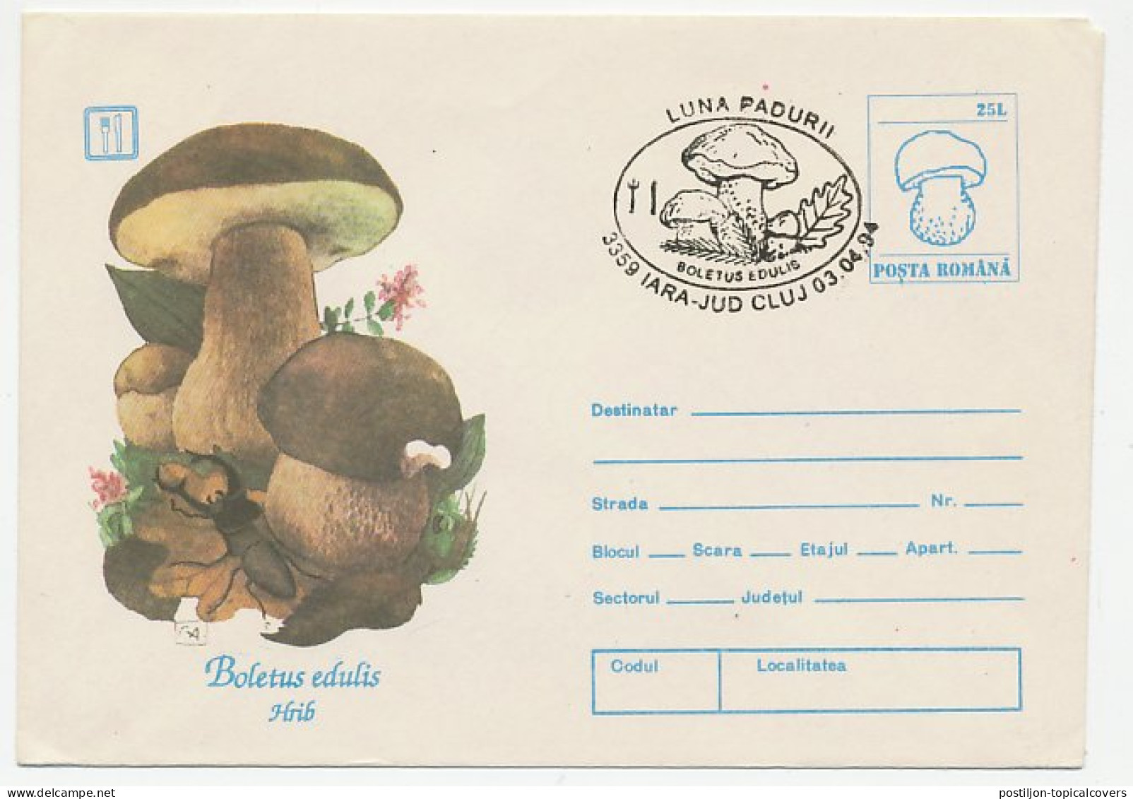 Postal Stationery Romania 1994 Mushroom - Mushrooms