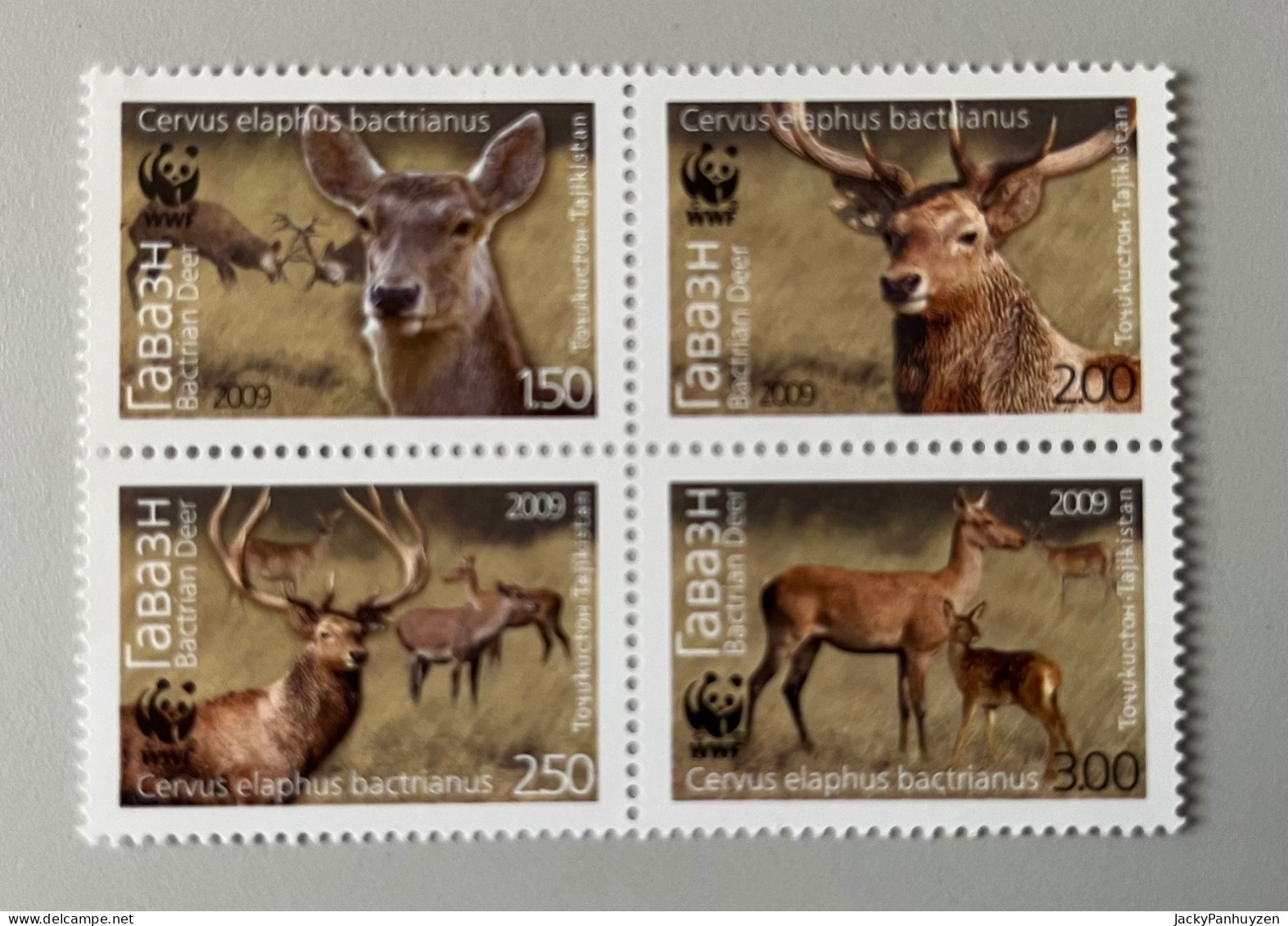 WWF 2009 : TAJIKISTAN - Deers -  MNH ** - Ongebruikt