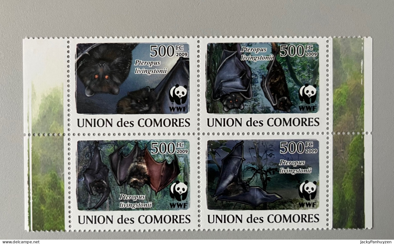 WWF 2009 : UNION DES COMORES - Bats -  MNH ** - Neufs