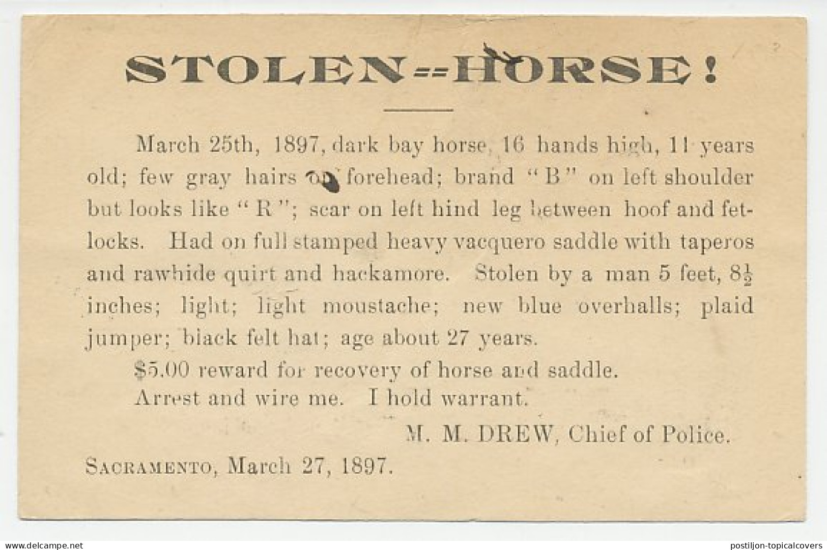 Postal Stationery USA 1897 Search Notice - Stolen Horse - Reitsport