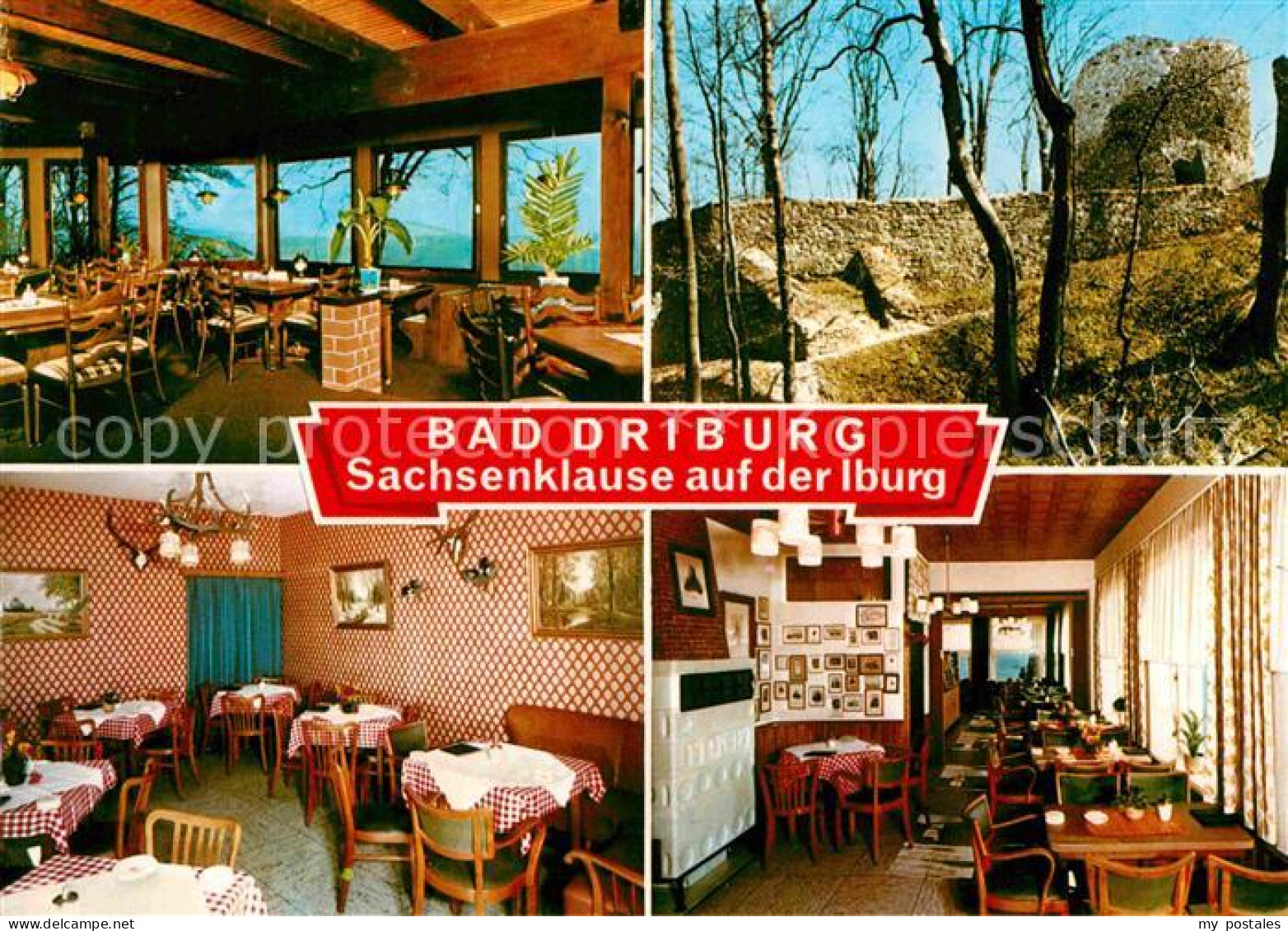 72713373 Bad Driburg Cafe Restaurant Sachsenklause Ruine Bad Driburg - Bad Driburg
