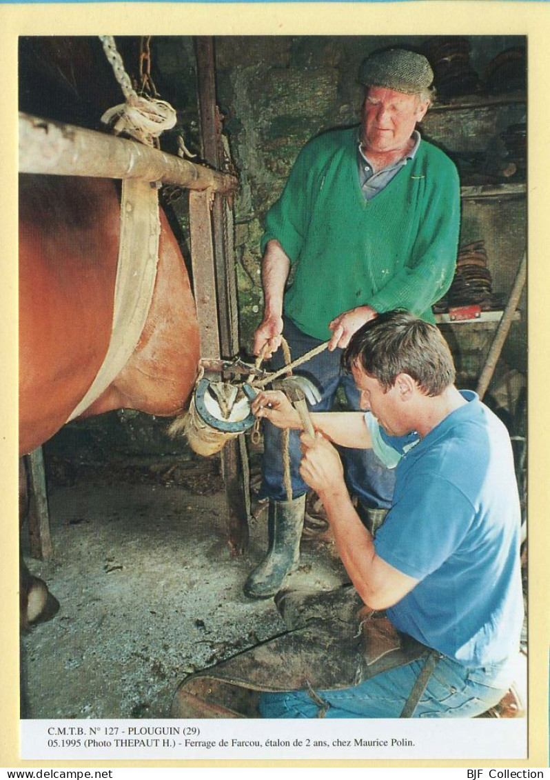 Ferrage De Farcou étalon De 2 Ans Chez Maurice POLIN / PLOUGUIN (29) (THEPAUT H.) C.M.T.B. N° 127 / 400 Ex (CARTOUEST) - Campesinos