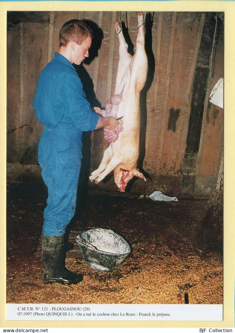 On A Tué Le Cochon Chez LE ROUX : Franck Le Prépare / PLOUGASNOU (29) (QUINQUIS J.) C.M.T.B. N° 121 / 400 Ex (CARTOUEST) - Farmers
