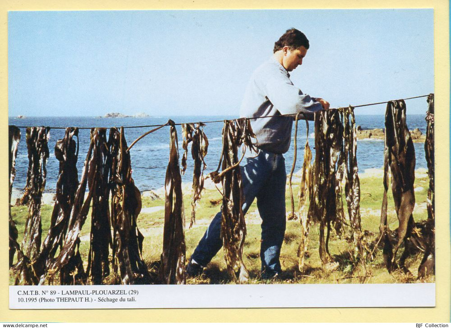 Séchage Du Tali / LAMPAUL-PLOUARZEL (29) (THEPAUT H.) C.M.T.B. N° 89 / 400 Exemplaires (CARTOUEST) - Farmers