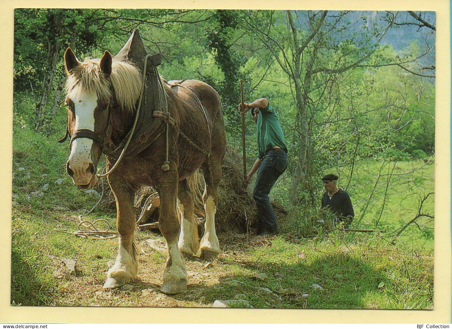 Descente Des Fougères (Elizabeth ARRIUS-PARDIES N° F349) Images D'un Temps Qui Passe / Collection Vallées Pyrénéennes - Landbouwers