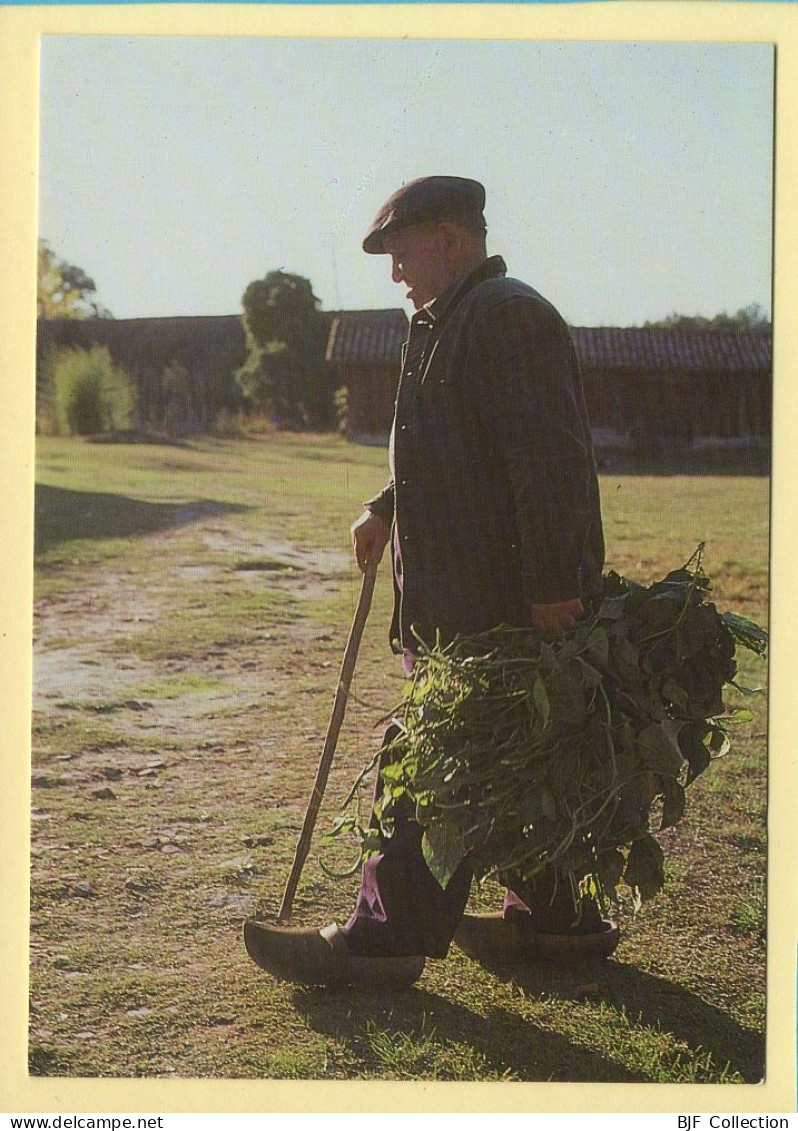 L'herbe Au Lapins (Elizabeth ARRIUS-PARDIES N° F353) Images D'un Temps Qui Passe / Collection Vallées Pyrénéennes - Farmers