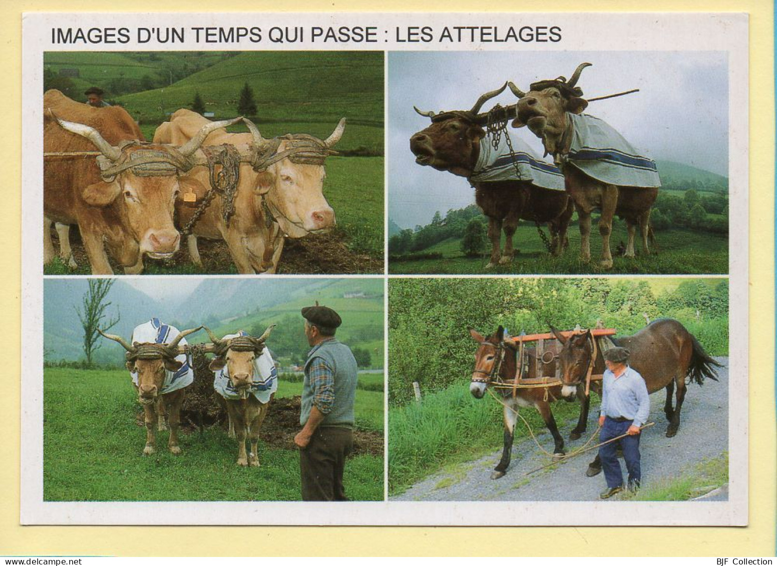 Les Attelages / 4 Vues (Elizabeth ARRIUS-PARDIES N° F361) Images D'un Temps Qui Passe / Collection Vallées Pyrénéennes - Paysans