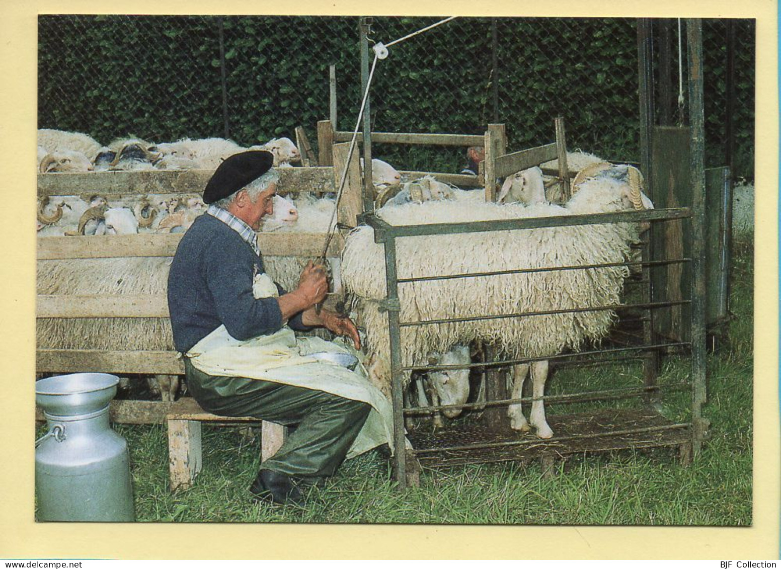 La Traite Des Brebis (Elizabeth ARRIUS-PARDIES N° D98) Images D'un Temps Qui Passe / Collection Vallées Pyrénéennes - Farmers