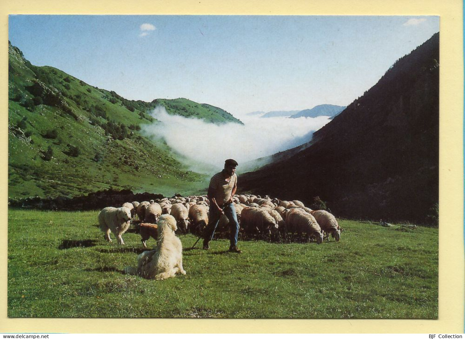 L'arrivée Dan L 'estive (Elizabeth ARRIUS-PARDIES N° D76) Images D'un Temps Qui Passe / Collection Vallées Pyrénéennes - Landbouwers