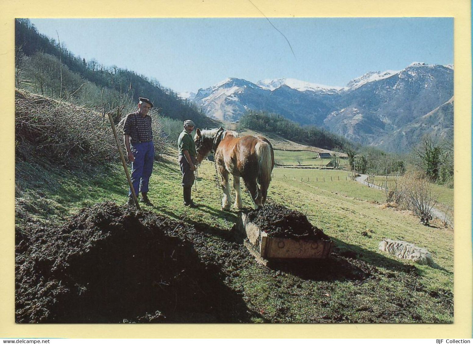 Epandage Du Fumier (Elizabeth ARRIUS-PARDIES N° D111) Images D'un Temps Qui Passe / Collection Vallées Pyrénéennes - Landbouwers