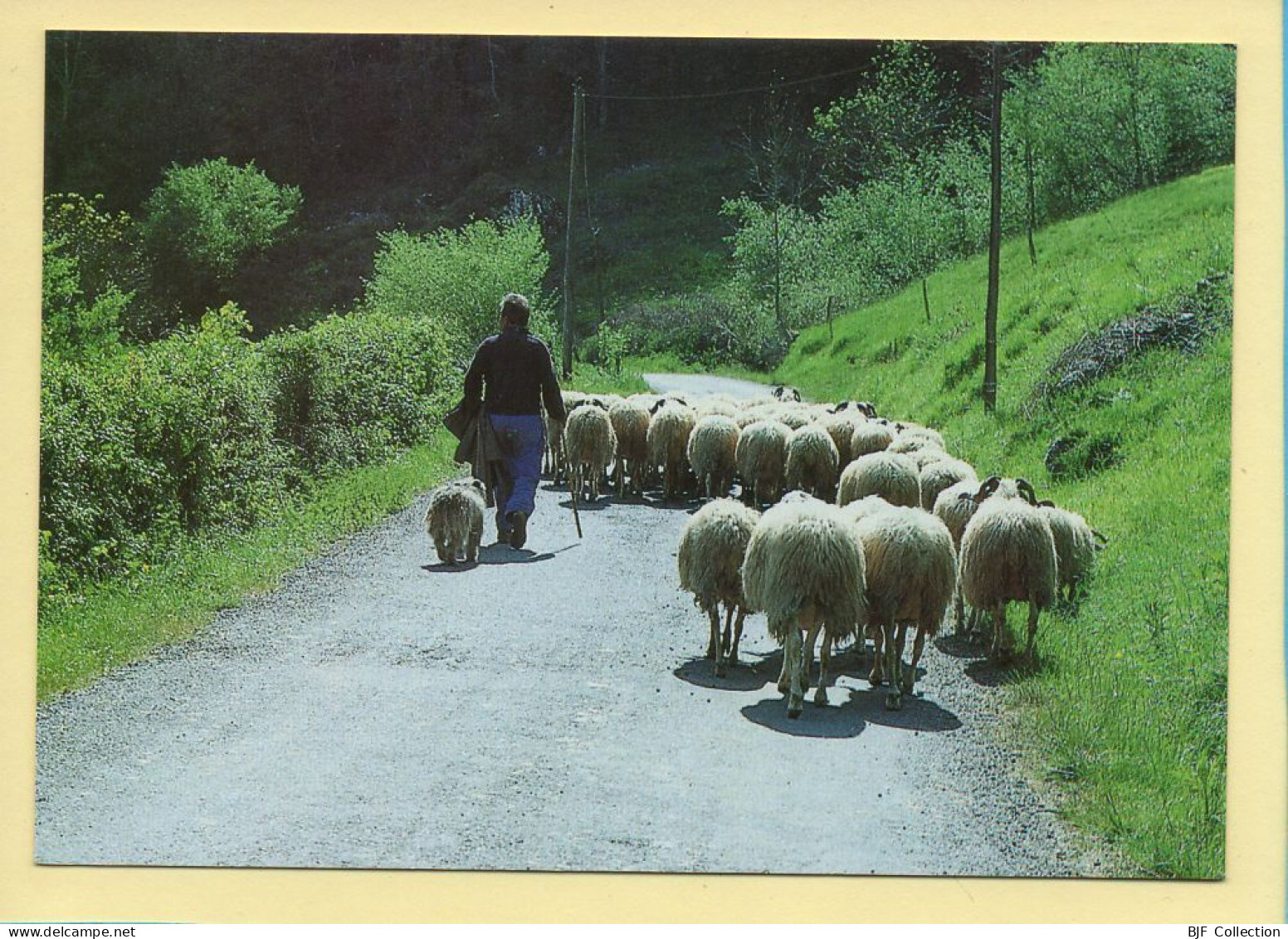 Troupeaux Et Bergers (Association IKHERZALEACK N° D112) Images D'un Temps Qui Passe / Collection Vallées Pyrénéennes - Farmers