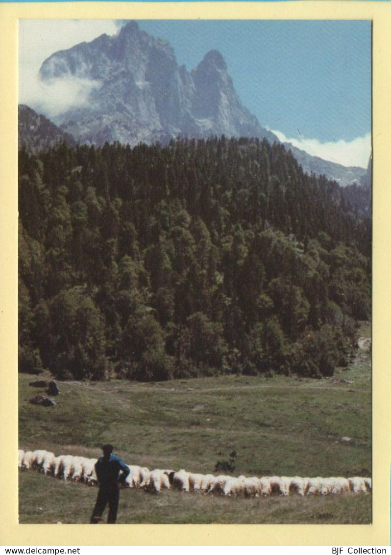 Transhumance Au Pied De L'ossau (Hervé BUTEL N° E64) Collection Vallées Pyrénéennes - Bauern