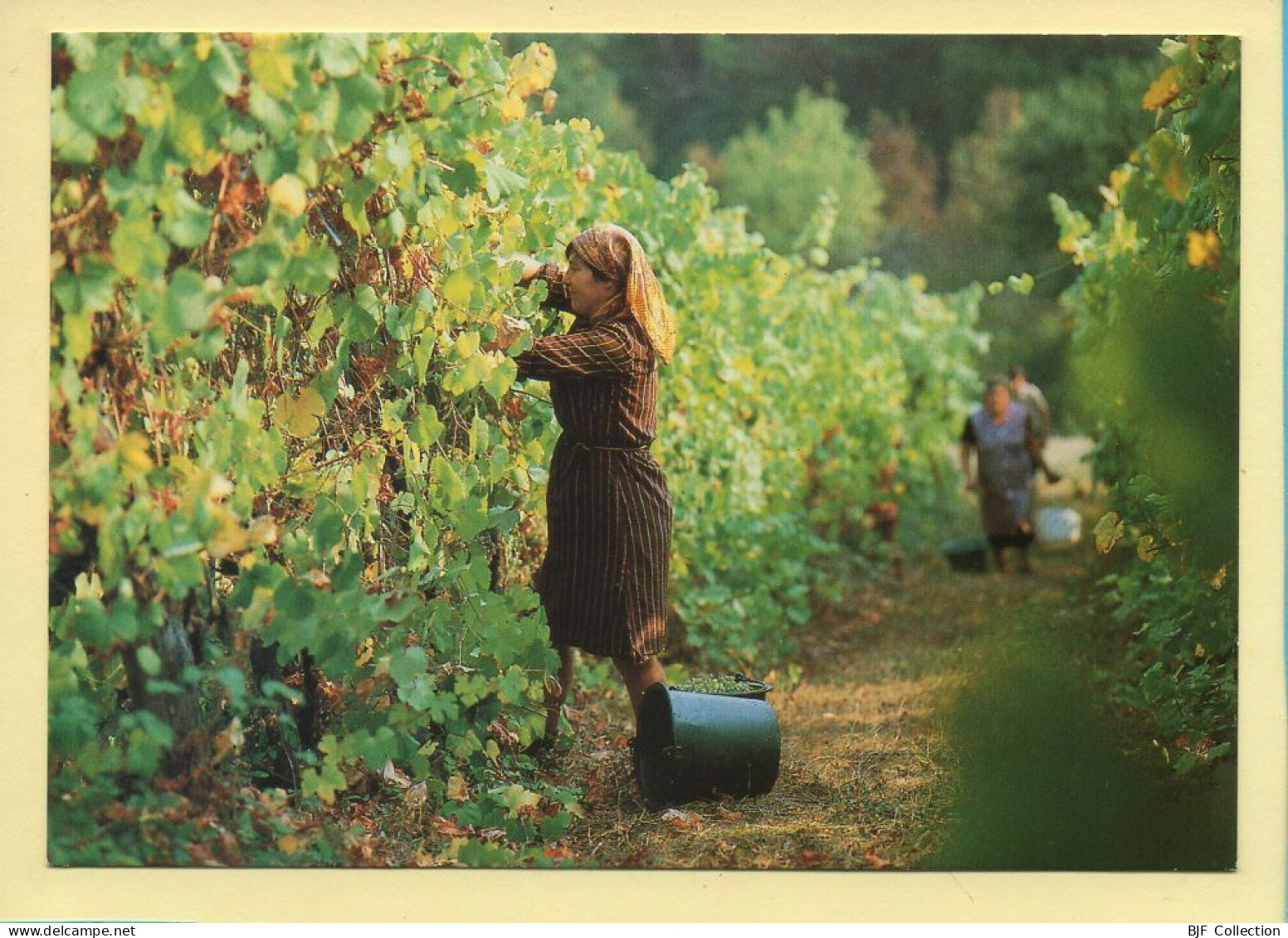 Les Vendanges (Vincent DUBOURG N° E25) Images D'un Temps Qui Passe / Collection Vallées Pyrénéennes - Farmers