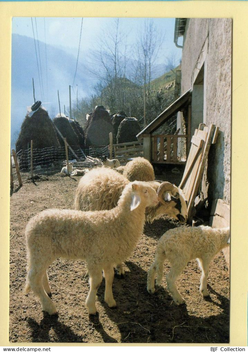 Les Familiers De La Ferme En Haute Montagne (Elizabeth ARRIUS-PARDIES N° D 14) Images D'un Temps Qui Passe - Bauern