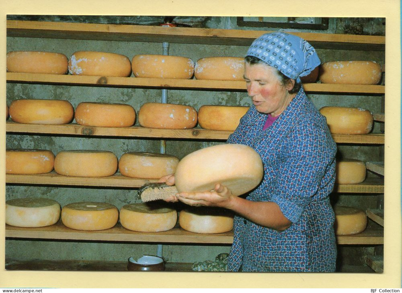 Le Saloir à Fromages (Elizabeth ARRIUS-PARDIES N° D 41) Images D'un Temps Qui Passe / Collection Vallées Pyrénéennes - Paysans