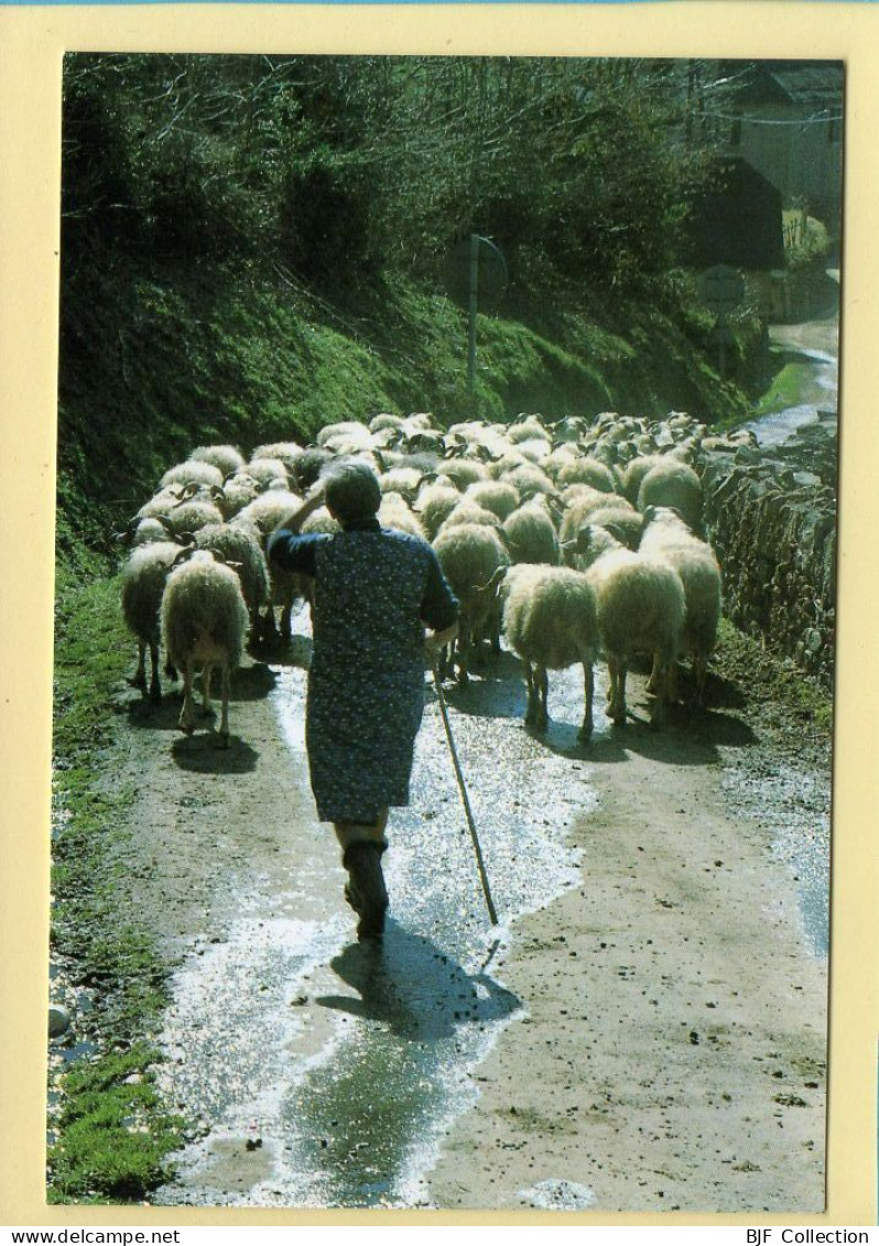 Troupeau à Contre Jour Dans Un Chemin Creux (Elizabeth ARRIUS-PARDIES N° D 47) Images D'un Temps Qui Passe - Landbouwers