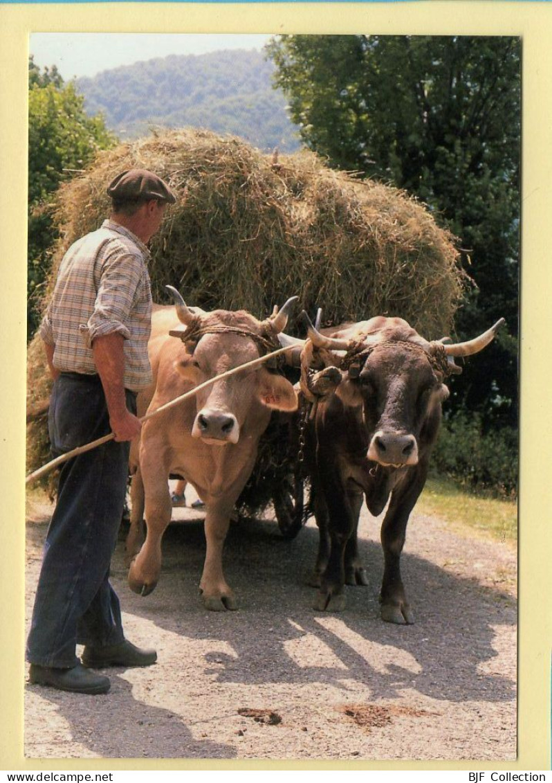 L'Attelage (Elizabeth ARRIUS-PARDIES N° D 16) Images D'un Temps Qui Passe / Collection Vallées Pyrénéennes - Paysans