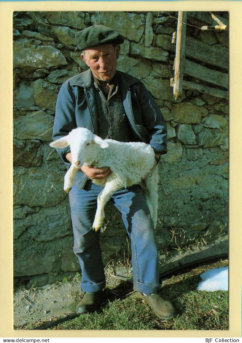 Le Berger Et L’agneau (Elizabeth ARRIUS-PARDIES N° D 45) Images D'un Temps Qui Passe - Paysans