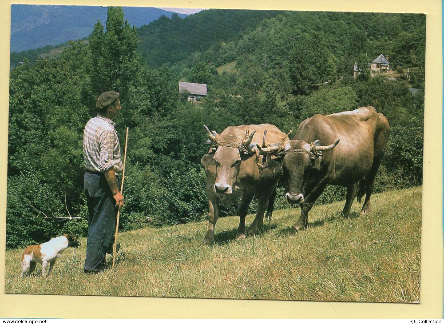 Fenaisons / Arrivée De L'attelage Dans La Prairie (Elizabeth ARRIUS-PARDIES N° C 46) Collection Vallées Pyrénéennes - Landbouwers