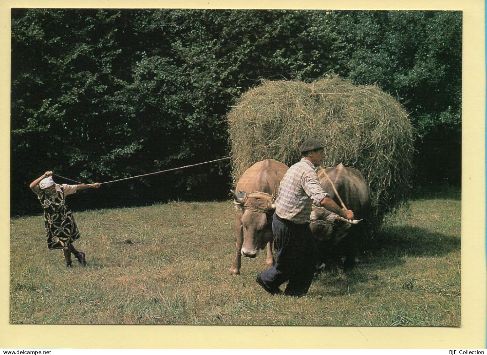 Fenaison En Haute Montagne / Assurer L’équilibre De La Charretée (Elizabeth ARRIUS-PARDIES N° C 48) - Farmers