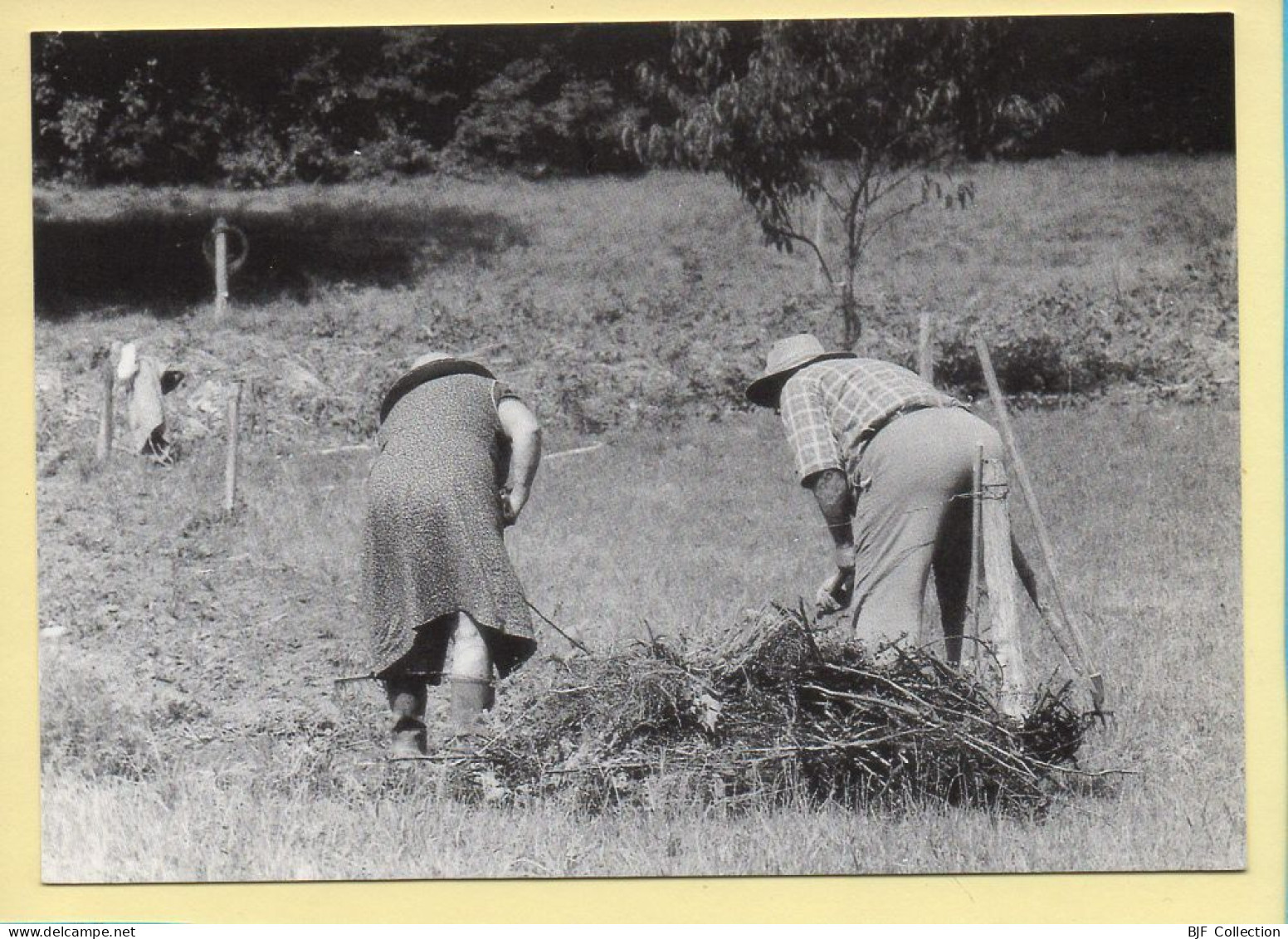 Confection Des Fagots (Elizabeth ARRIUS-PARDIES N° C 5) Images D'un Temps Qui Passe / Collection Vallées Pyrénéennes - Paysans