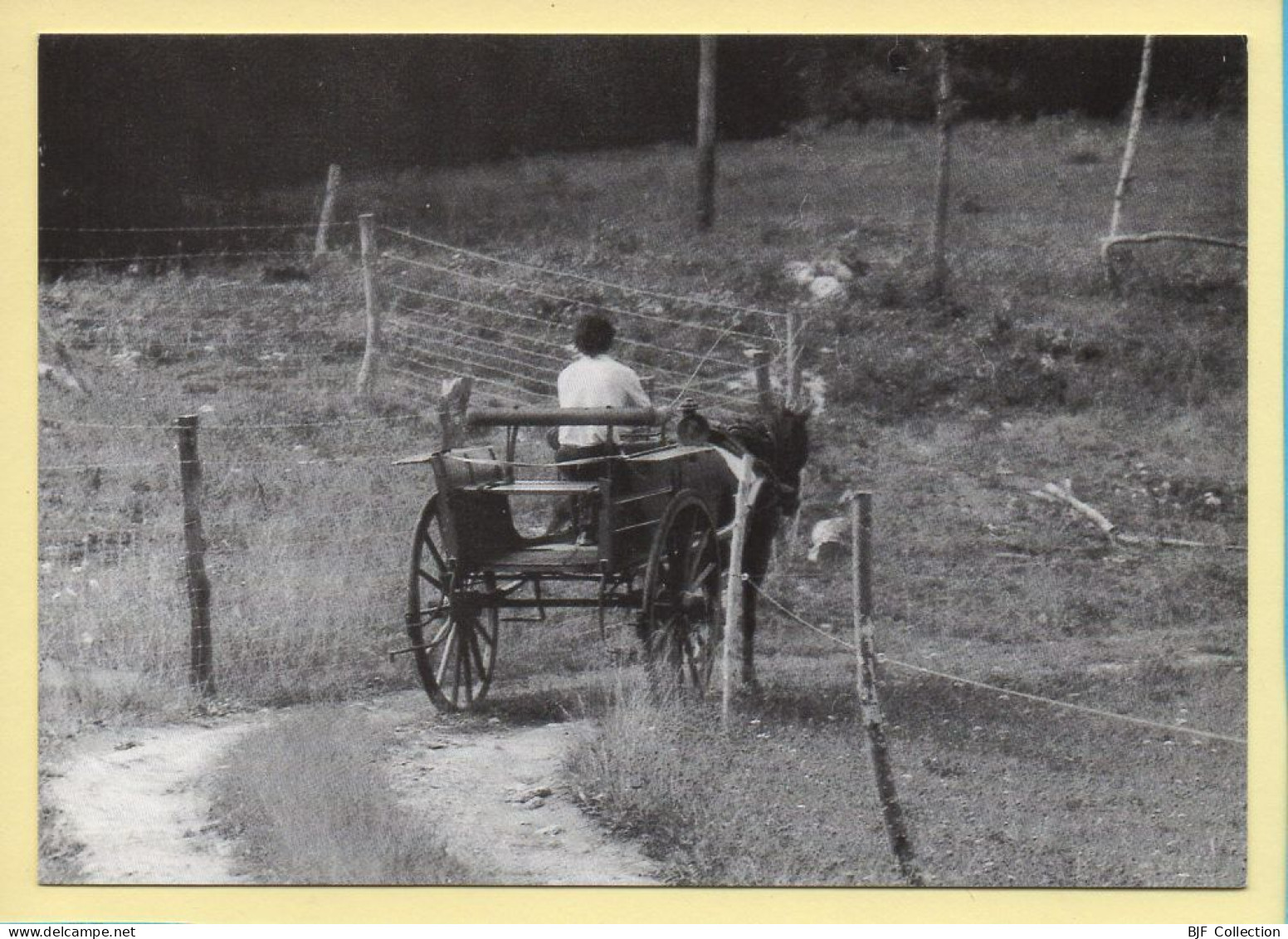 A La Recherche Du Grand Meaulnes (Elizabeth ARRIUS-PARDIES N° C 32) Images D'un Temps Qui Passe - Farmers