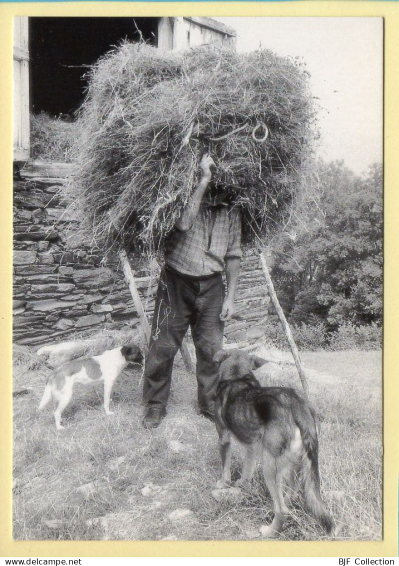 Le Grenier à Foin (Elizabeth ARRIUS-PARDIES N° C 27) Images D'un Temps Qui Passe / Collection Vallées Pyrénéennes - Paysans