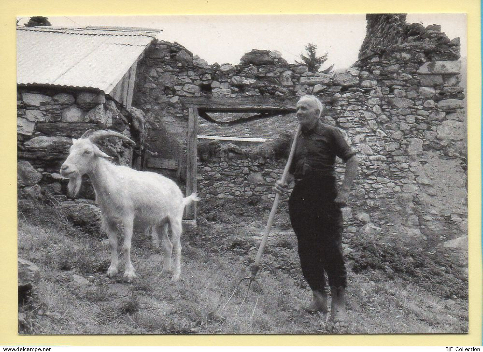 Deux Compagnons (Elizabeth ARRIUS-PARDIES N° C 40) Images D'un Temps Qui Passe / Collection Vallées Pyrénéennes - Farmers