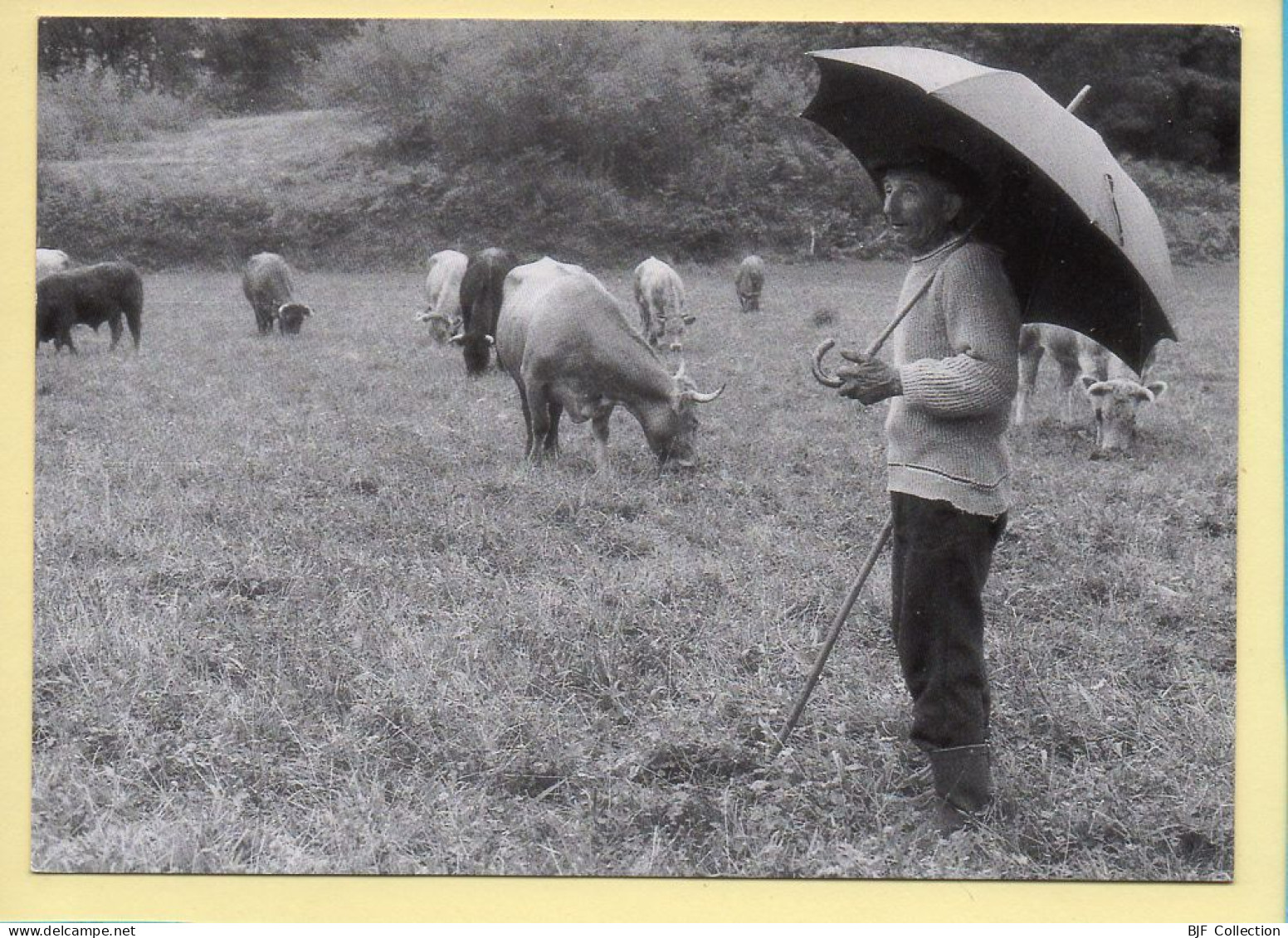 Dans La Prairie (Elizabeth ARRIUS-PARDIES N° C 39) Images D'un Temps Qui Passe / Collection Vallées Pyrénéennes - Farmers