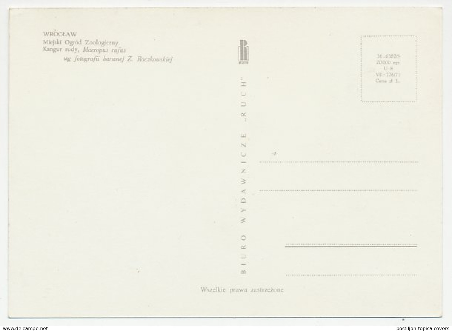 Maximum Card Poland 1980 Kangaroo - Sonstige & Ohne Zuordnung