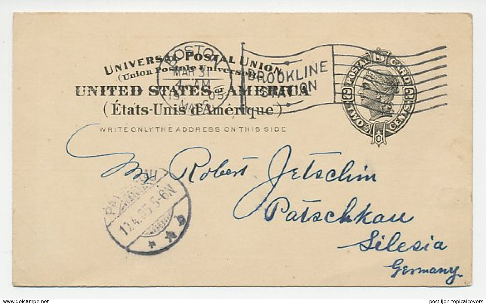 Postal Stationery USA 1905 Autograph C.W. Johnson - Naturalist - Entomology - Autres & Non Classés