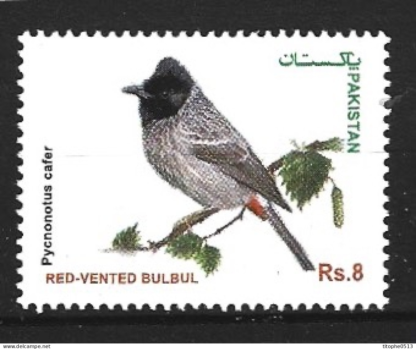 PAKISTAN. N°1390 De 2013. Bulbul. - Zangvogels