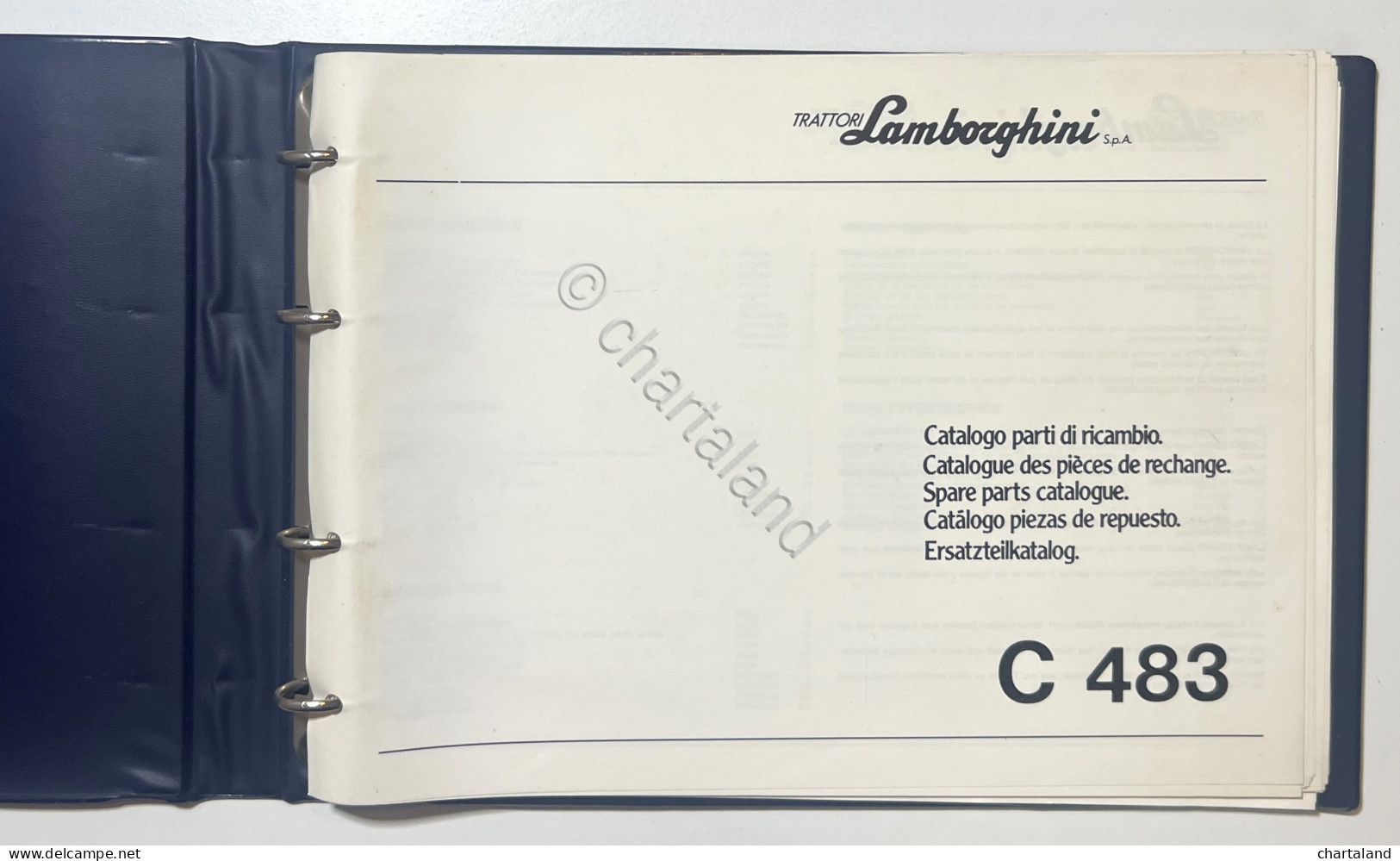 Catalogo Parti Di Ricambi Originali Lamborghini - C 483 - Ed. 1984 - Sonstige & Ohne Zuordnung